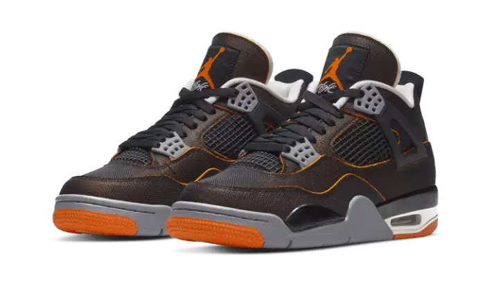 Air Jordan 4 SE Starfish