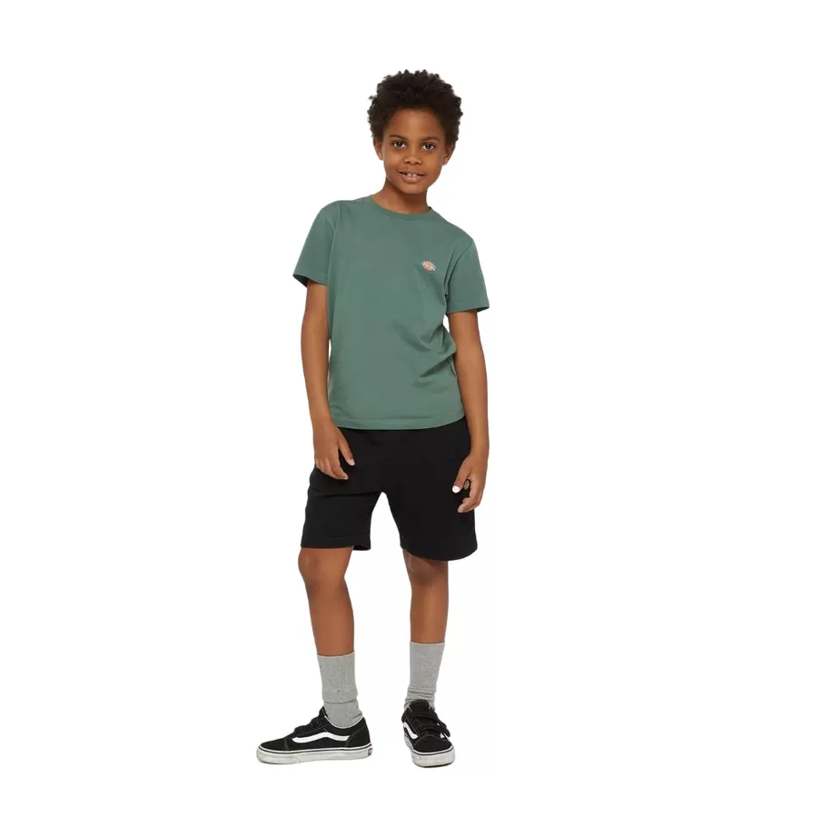 Dickies boys' sports shorts Mapleton DK0KRR33KBK1 black