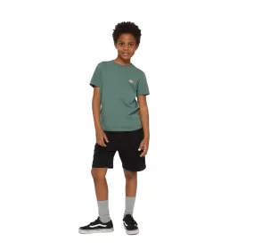 Dickies boys' sports shorts Mapleton DK0KRR33KBK1 black