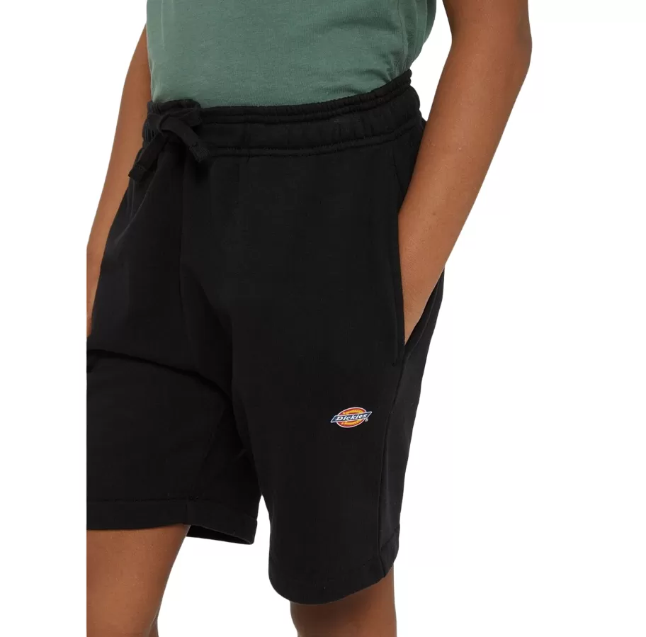 Dickies boys' sports shorts Mapleton DK0KRR33KBK1 black