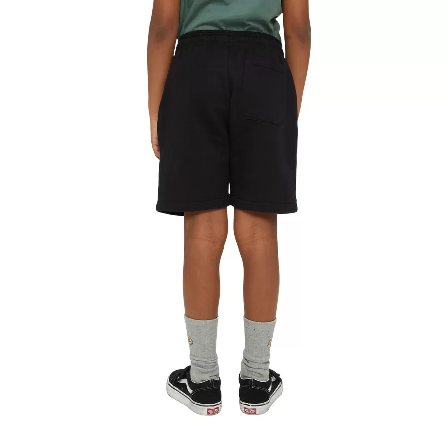 Dickies boys' sports shorts Mapleton DK0KRR33KBK1 black